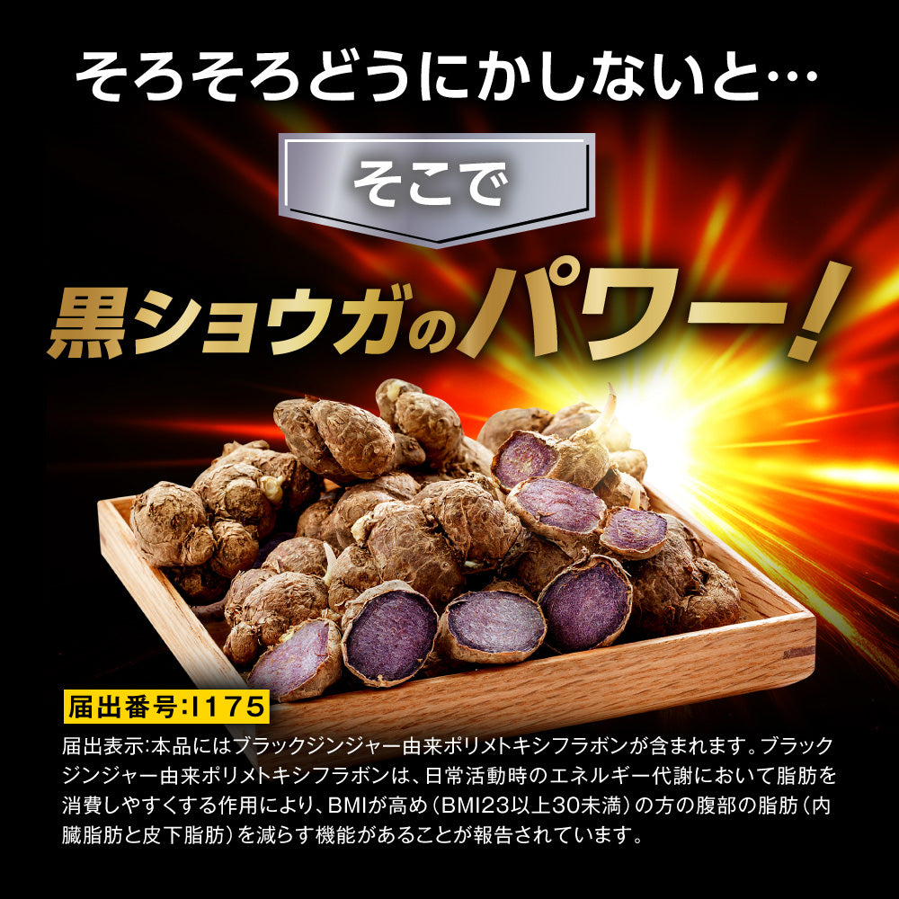 フラムジンジャー 機能性表示食品