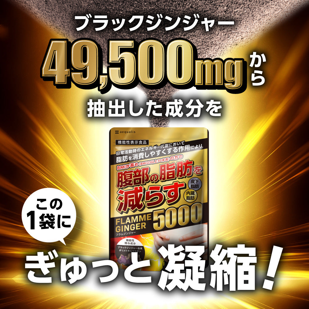 フラムジンジャー 機能性表示食品
