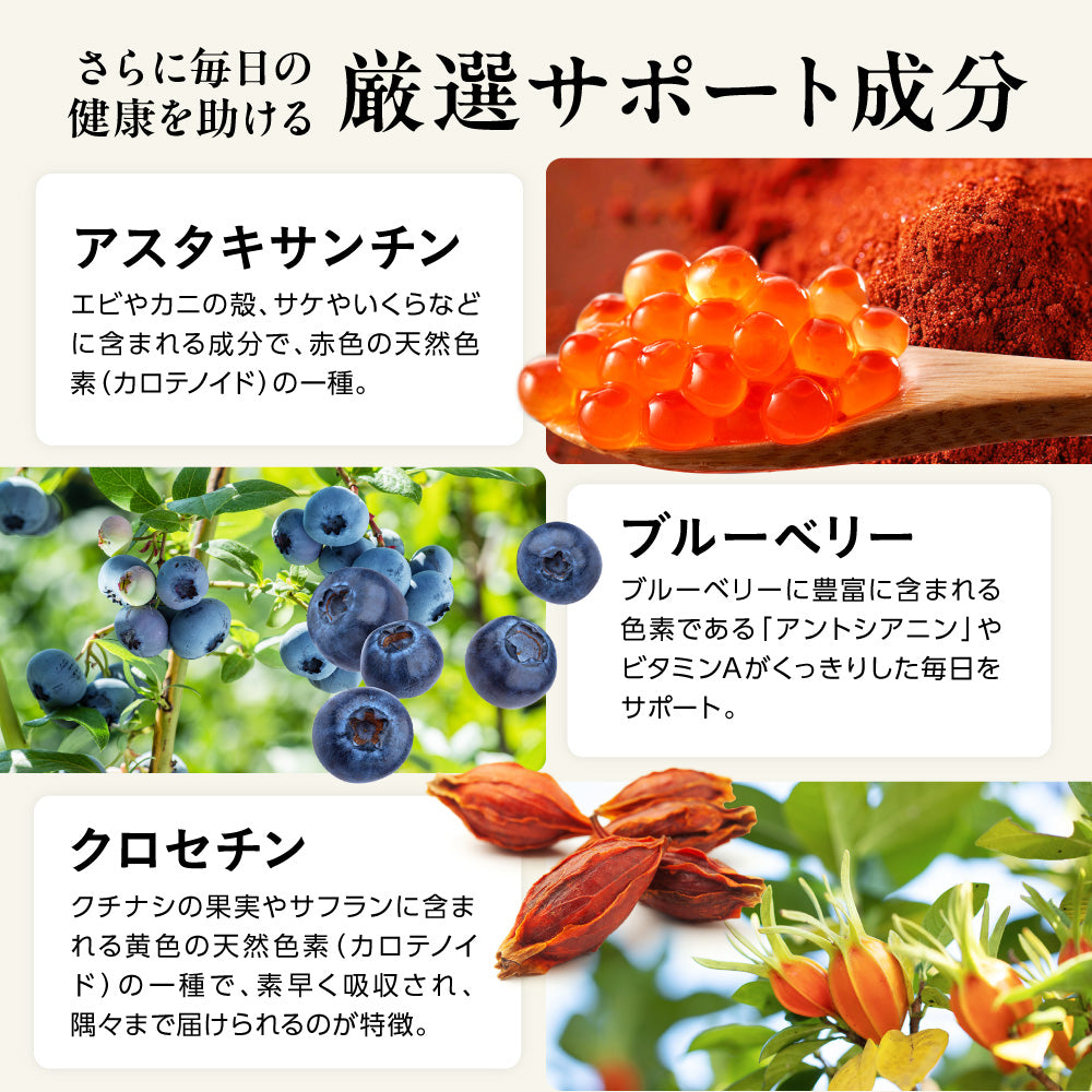 明快 ルテイン