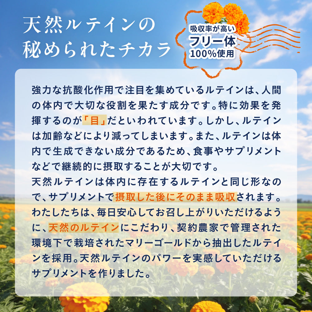 明快 ルテイン