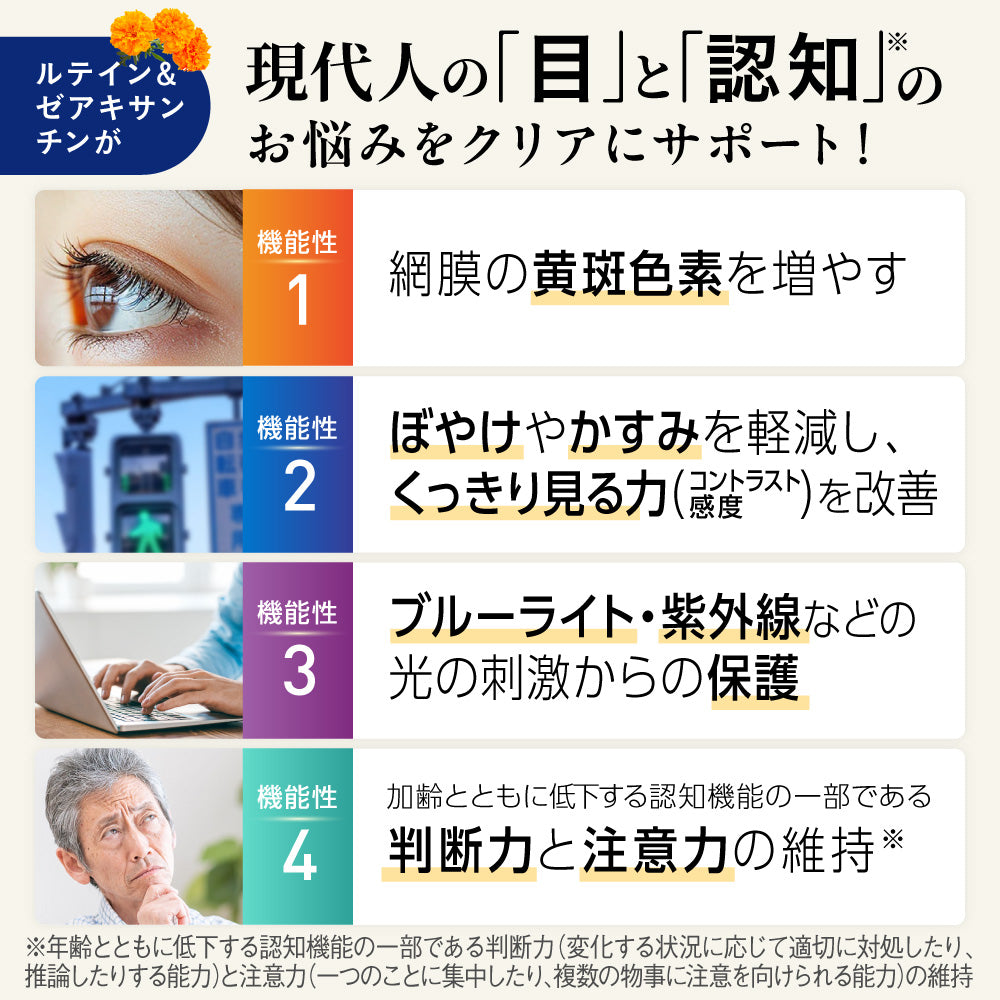 明快 ルテイン