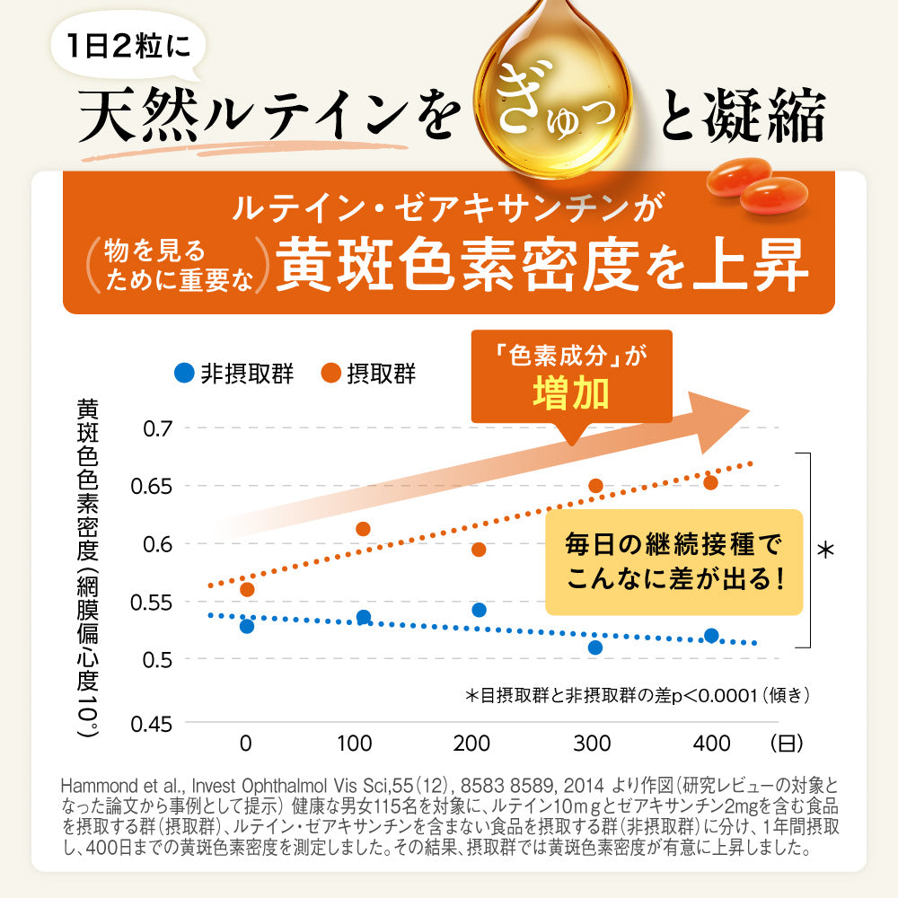 明快 ルテイン