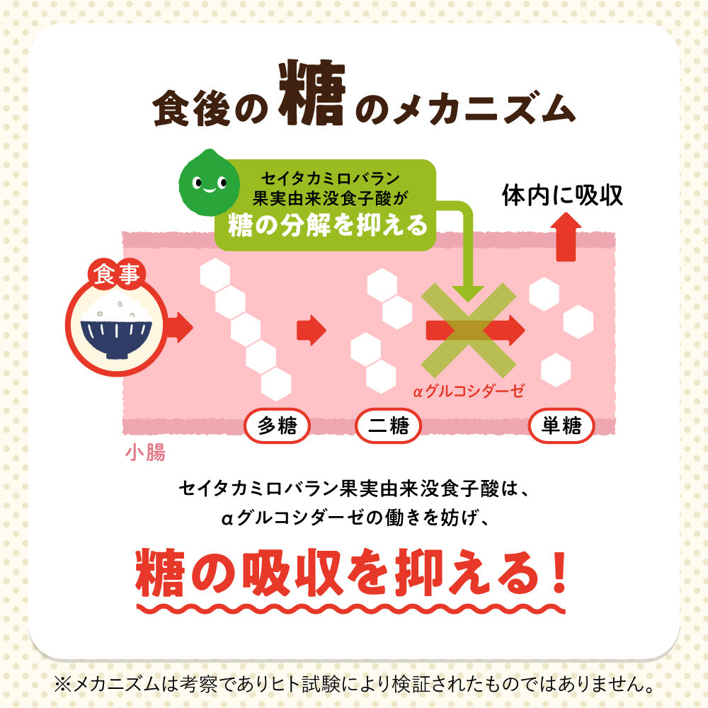 機能性表示食品 カロキュット
