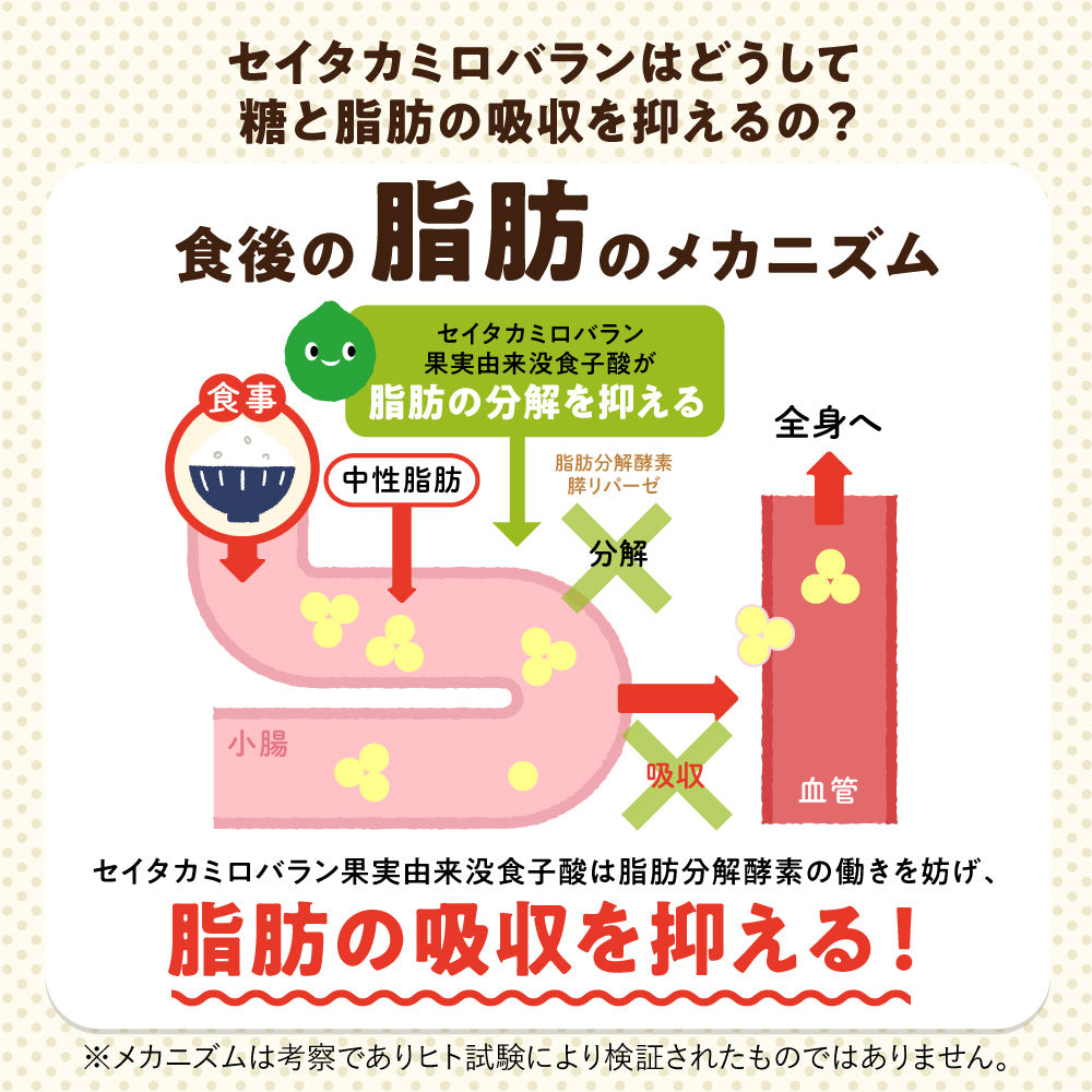 機能性表示食品 カロキュット