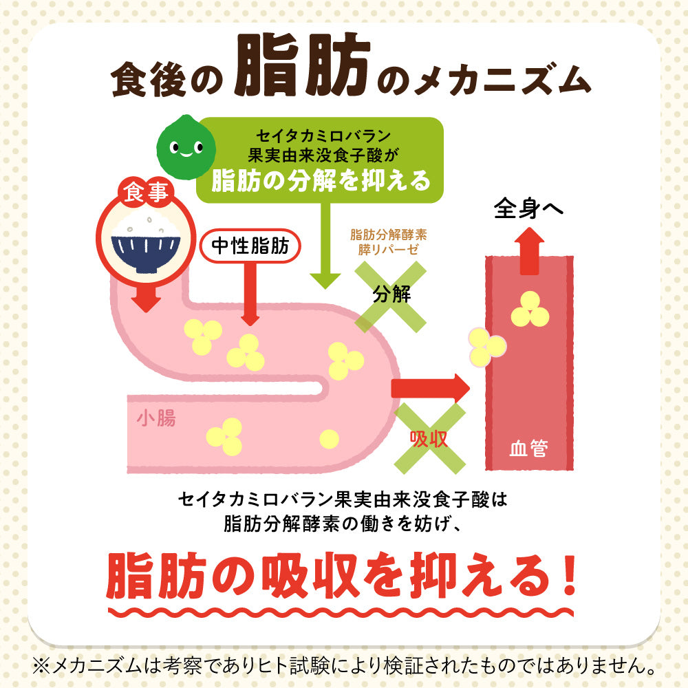 機能性表示食品 カロキュット