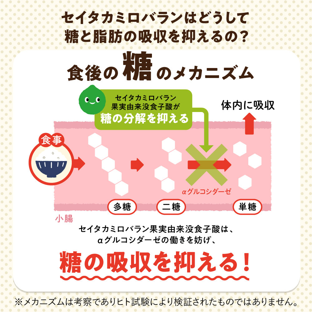 機能性表示食品 カロキュット