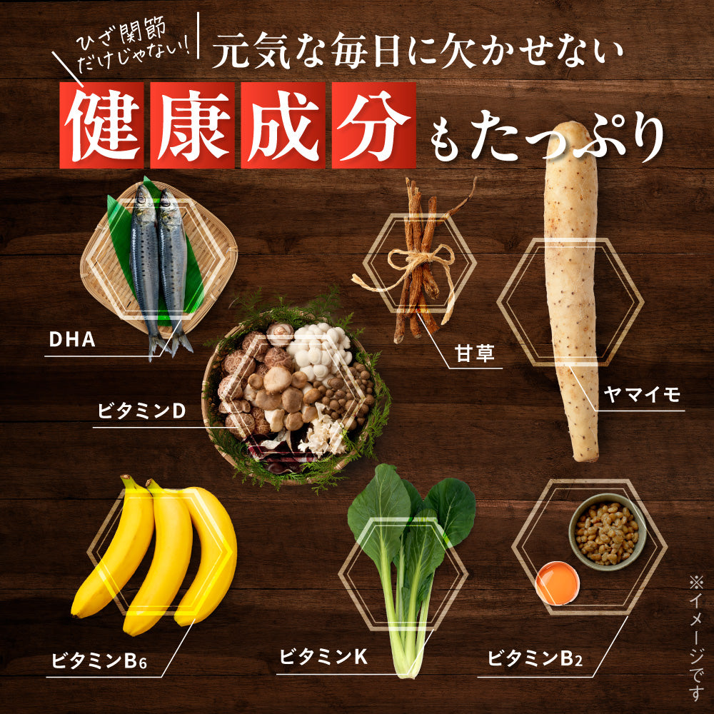 快活 ひざ楽ティブ 9000