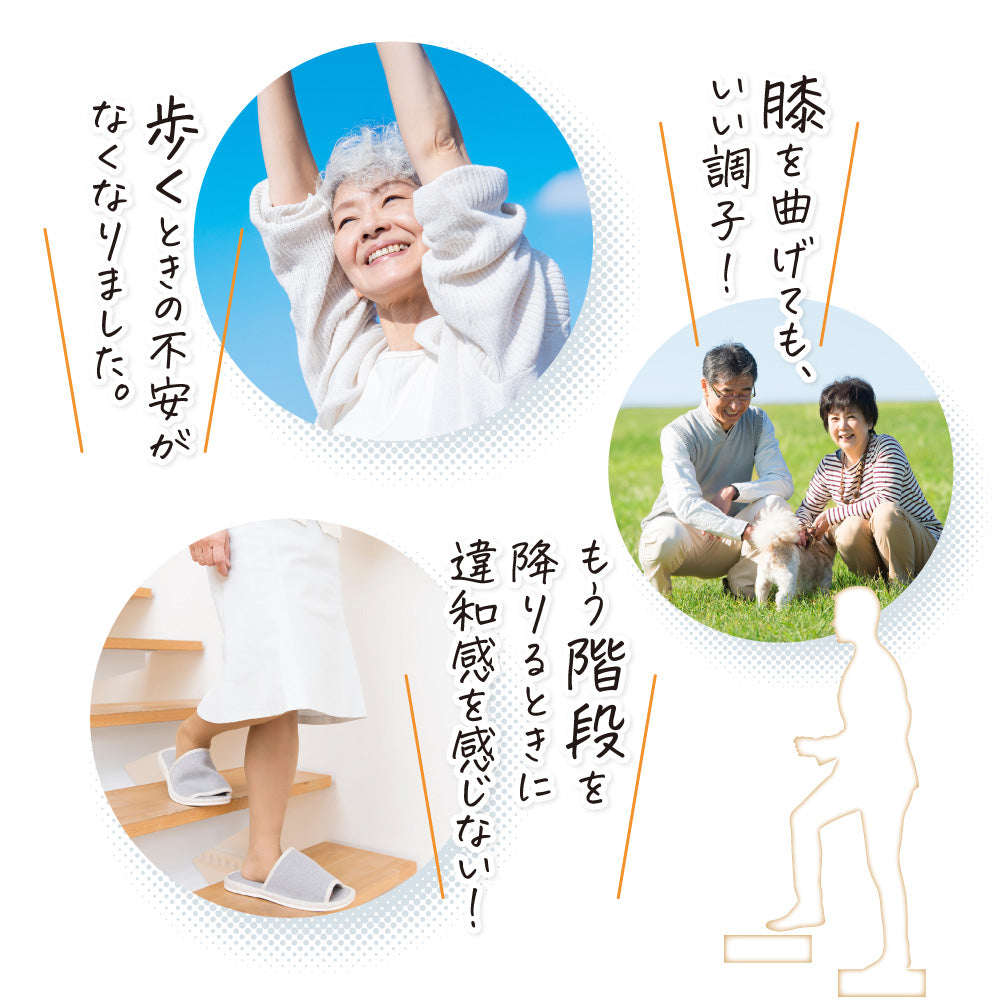 快活 ひざ楽ティブ 9000