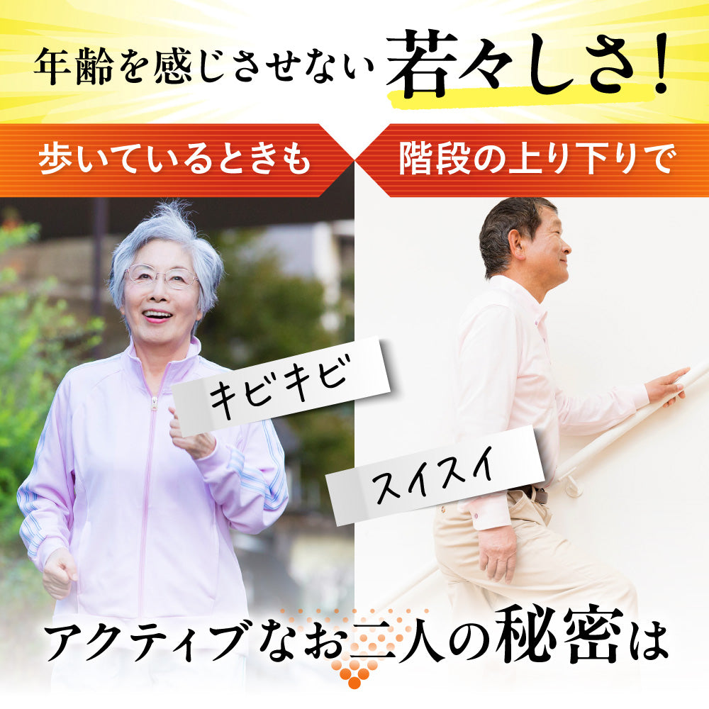 快活 ひざ楽ティブ 9000