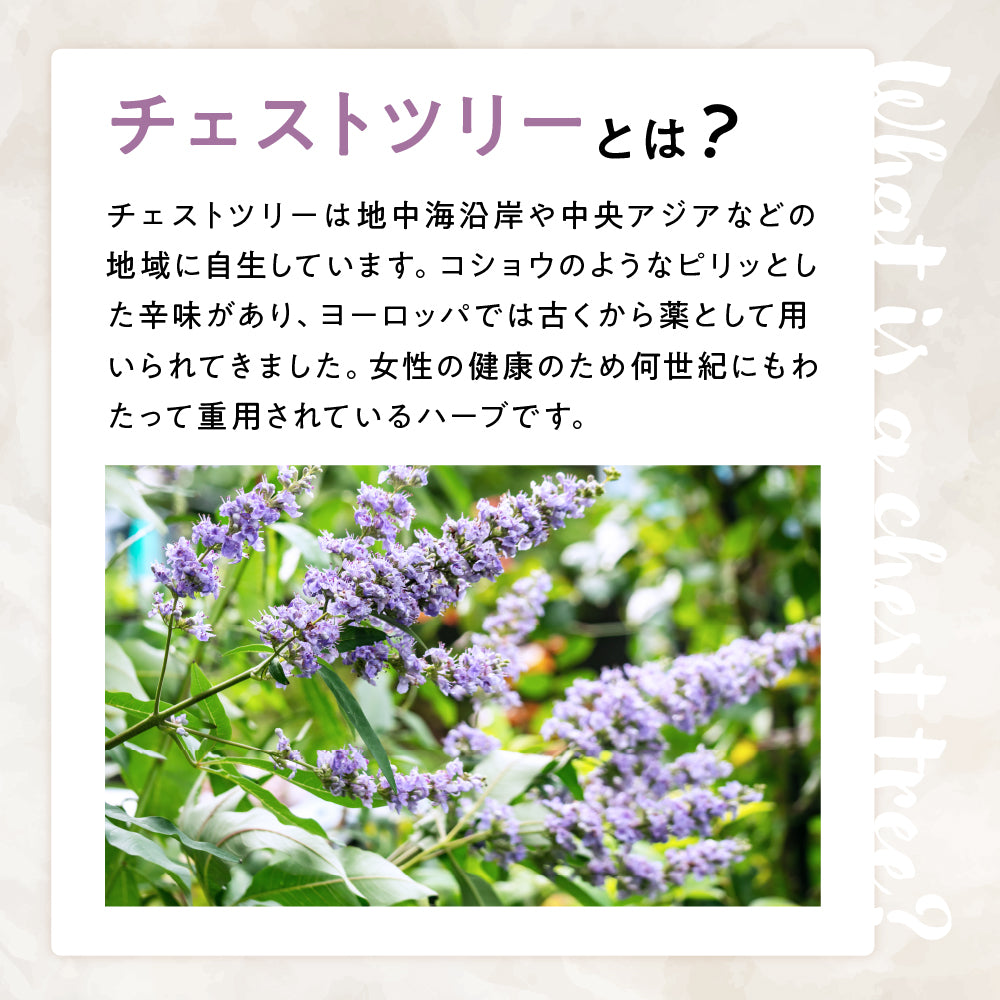 ILUS ルナハーブサプリメント