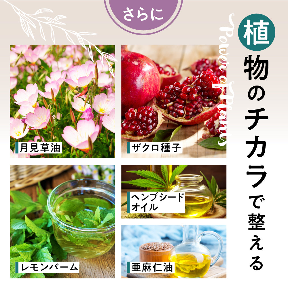ILUS ルナハーブサプリメント