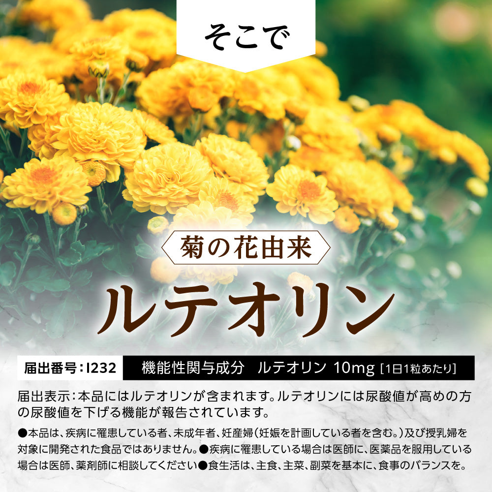 キニシナイトGOLD 尿酸値ケア