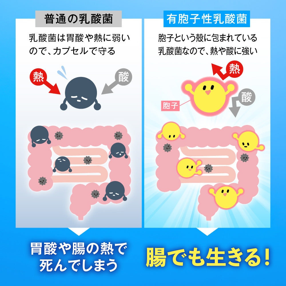 機能性表示食品 ラクトデル