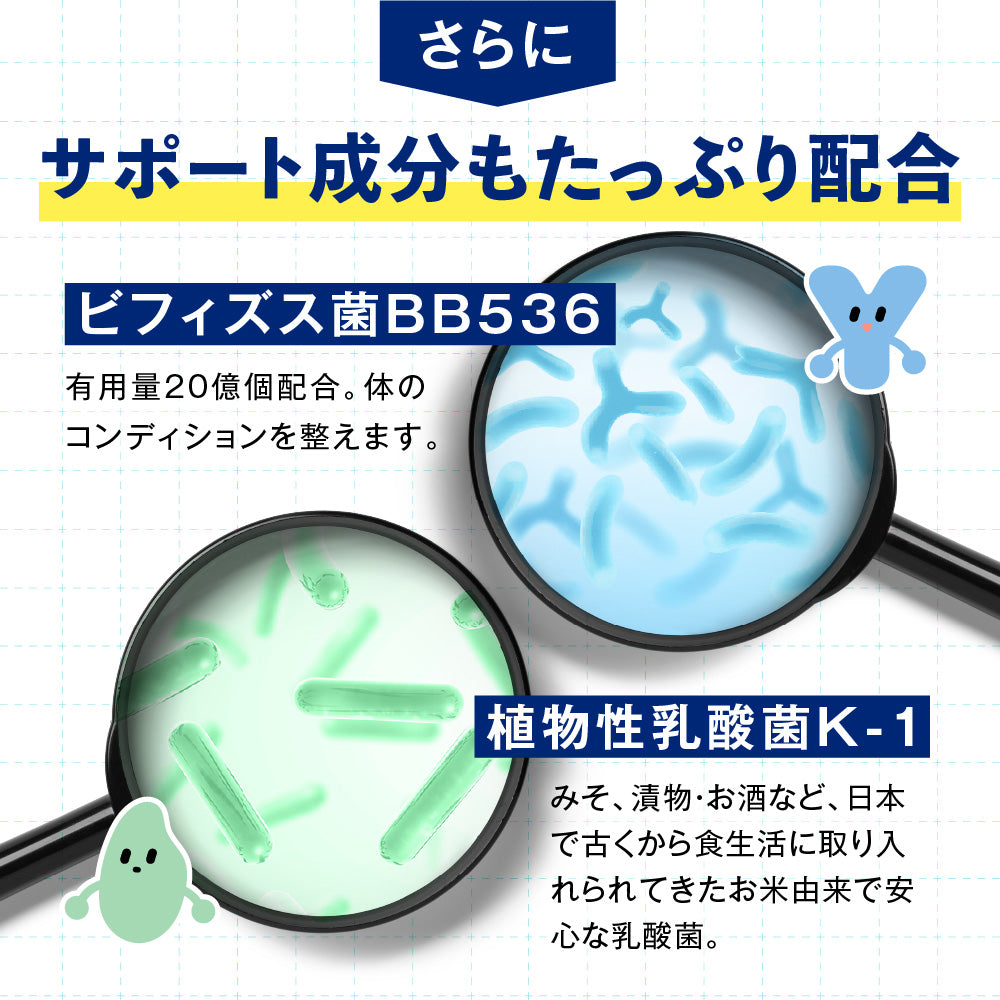 機能性表示食品 ラクトデル