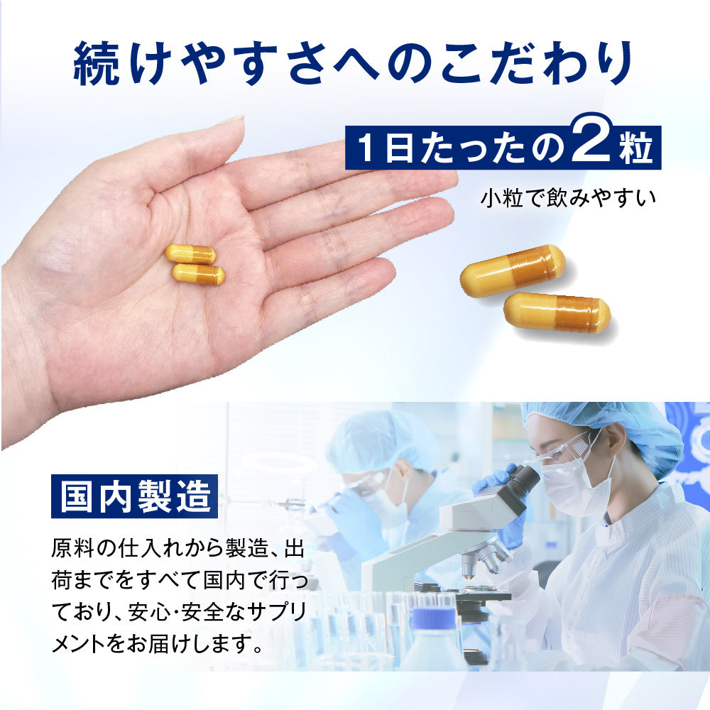 機能性表示食品 ラクトデル