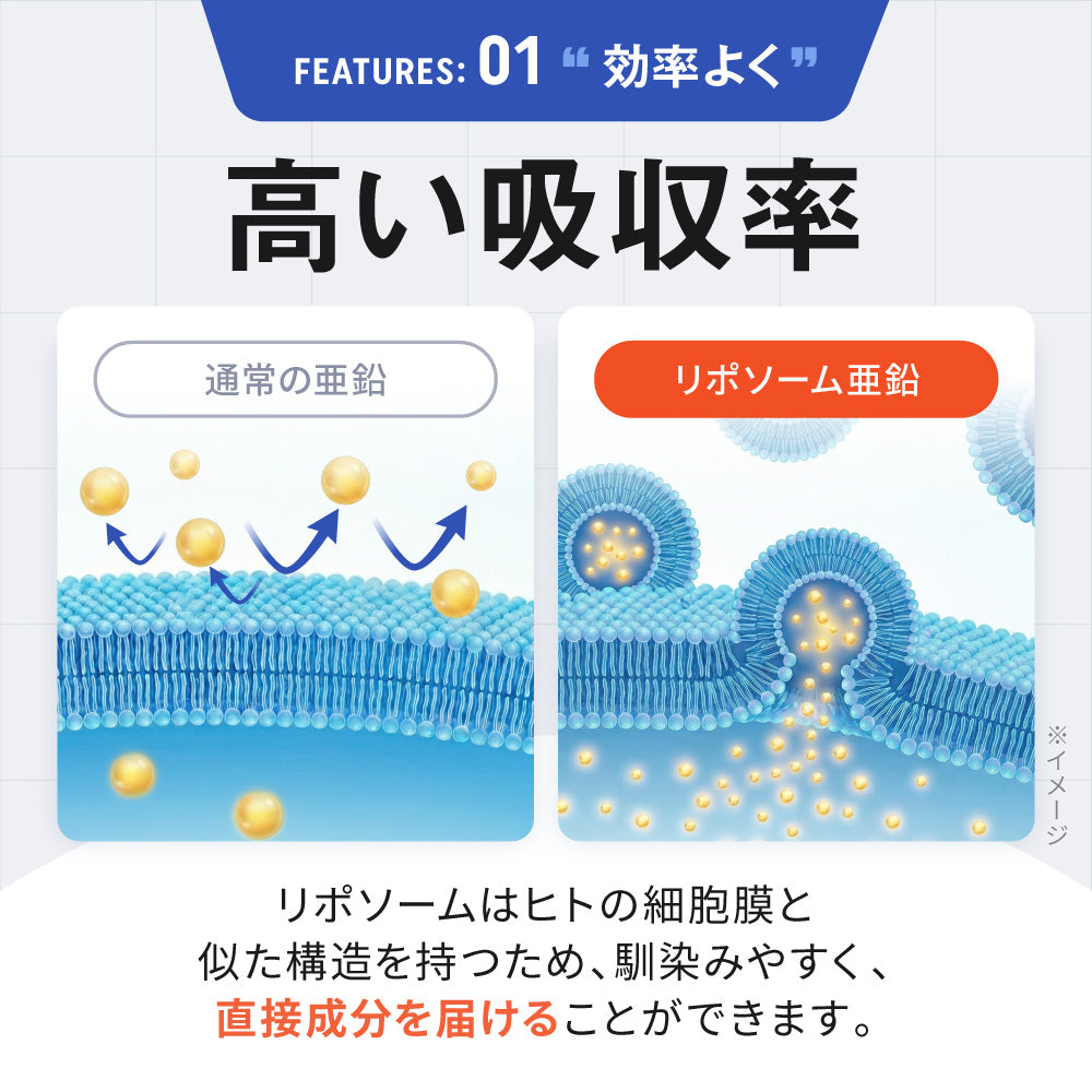 MINERAL BASE(ミネラルベース)亜鉛