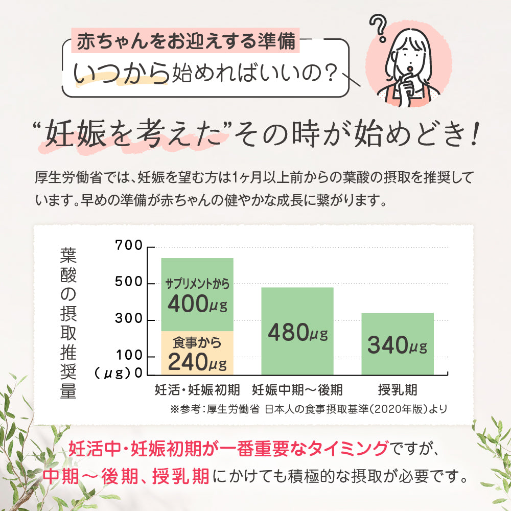 ルミエル 葉酸+鉄with乳酸菌