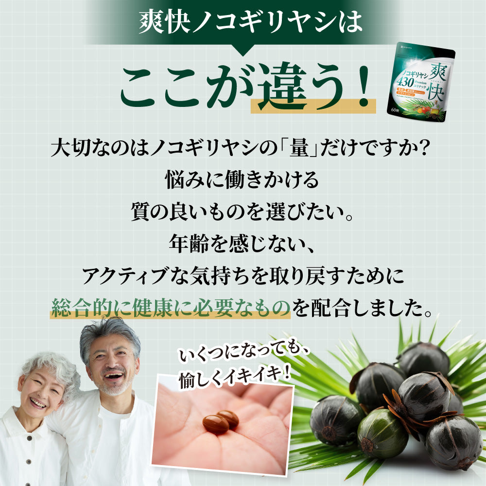 爽快ノコギリヤシ430 ユリナック