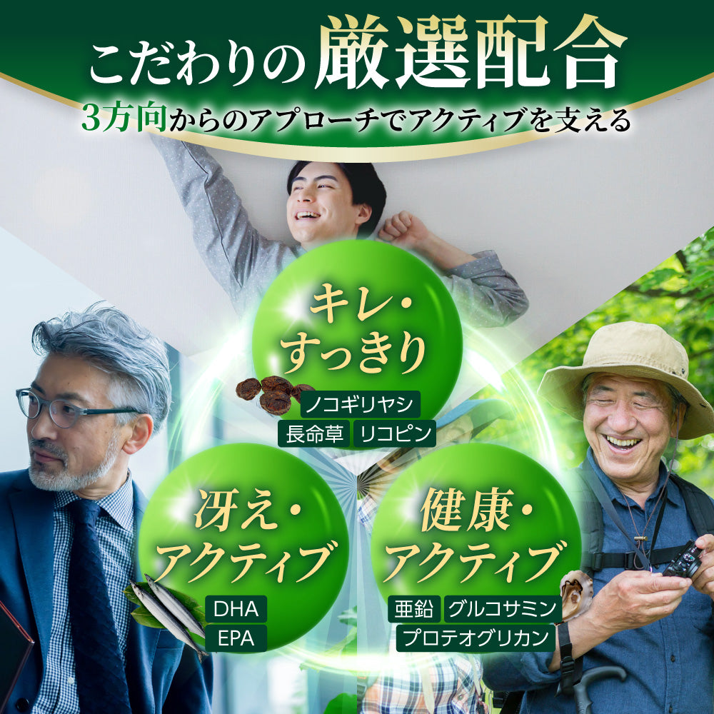 爽快ノコギリヤシ430 ユリナック