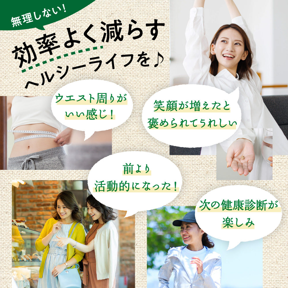 機能性表示食品 シボストン