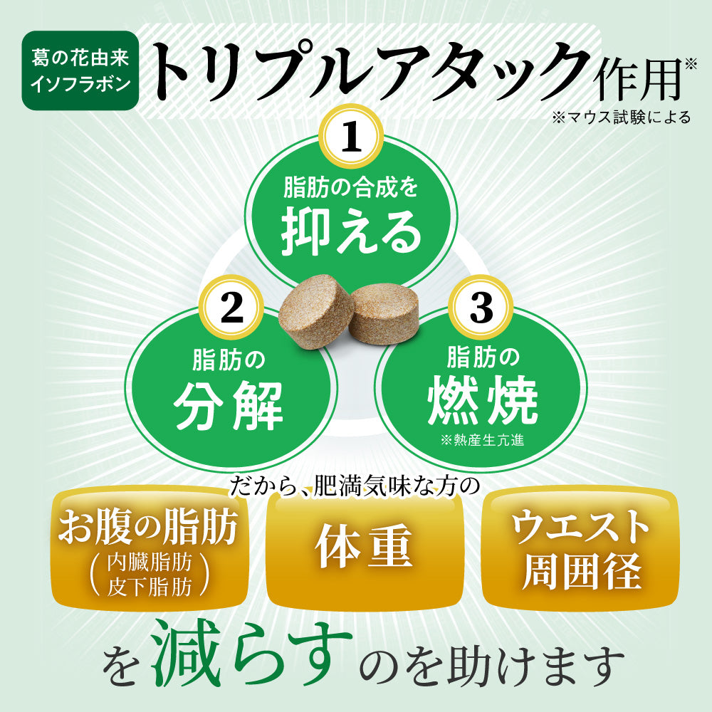 機能性表示食品 シボストン