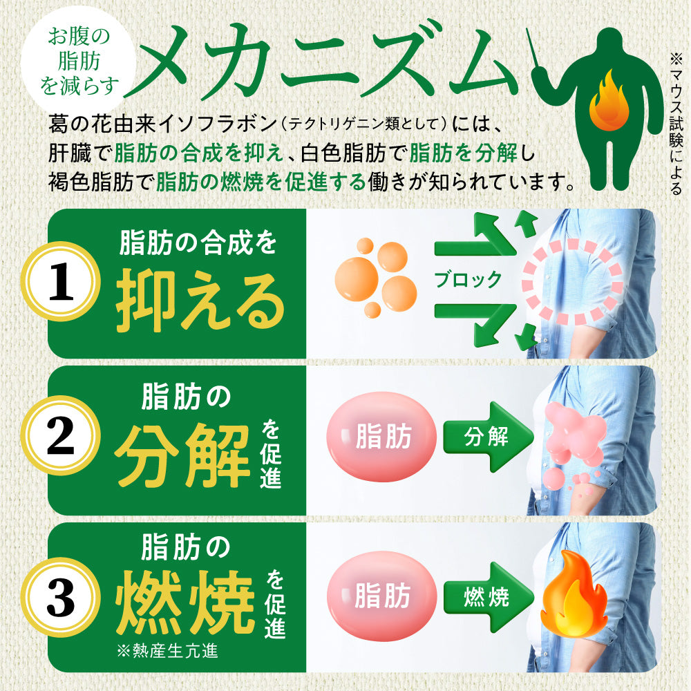 機能性表示食品 シボストン
