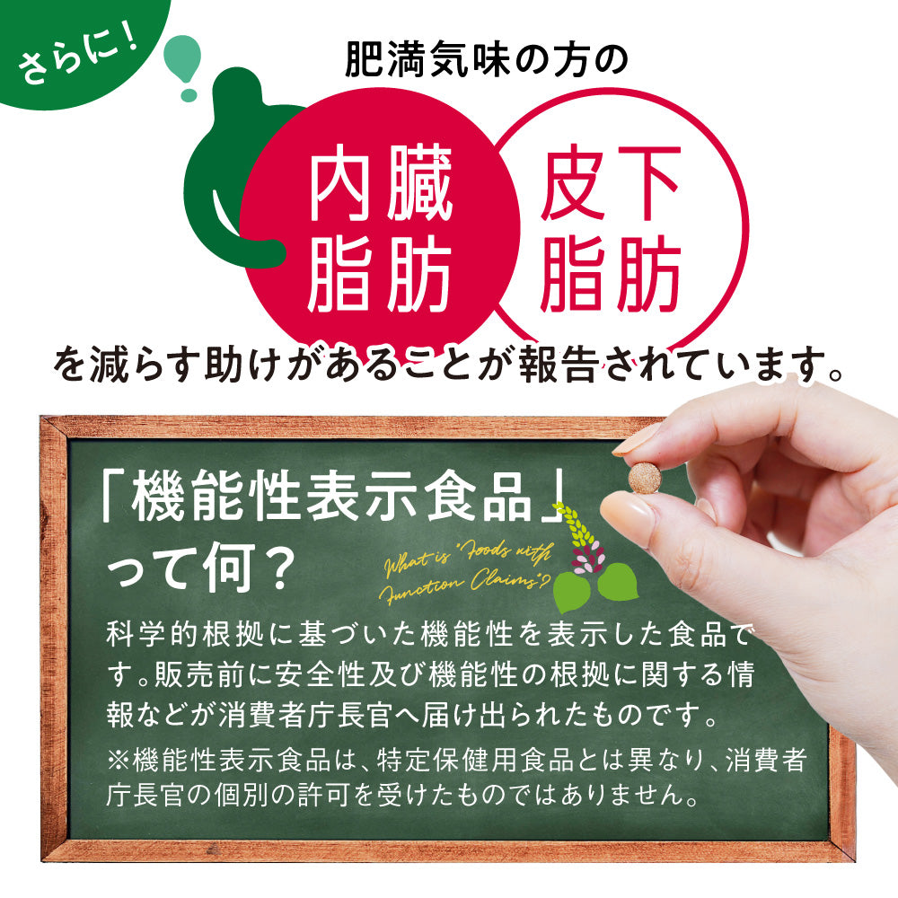 機能性表示食品 シボストン