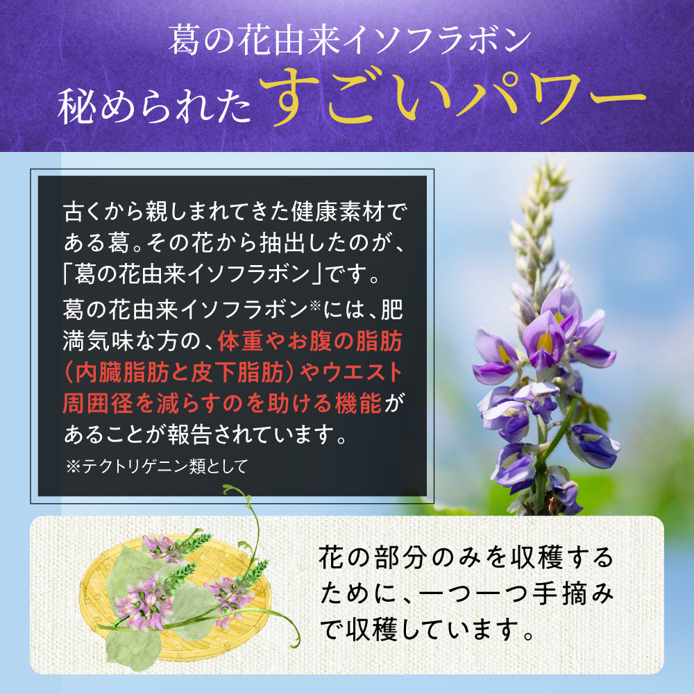 機能性表示食品 シボストン
