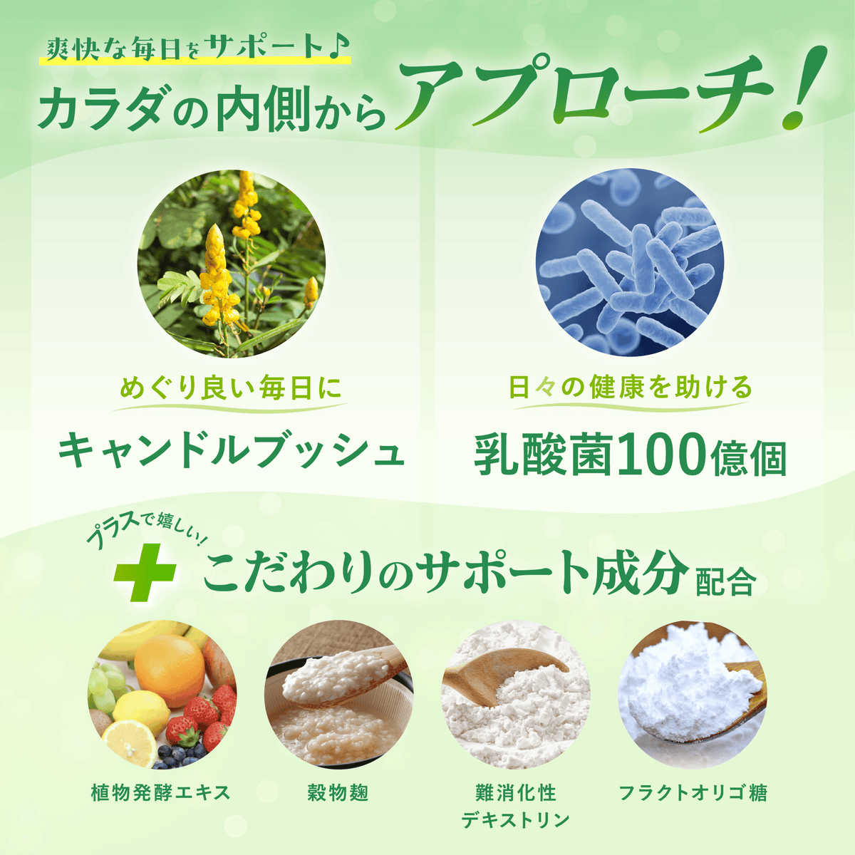 ラクトデルDiet