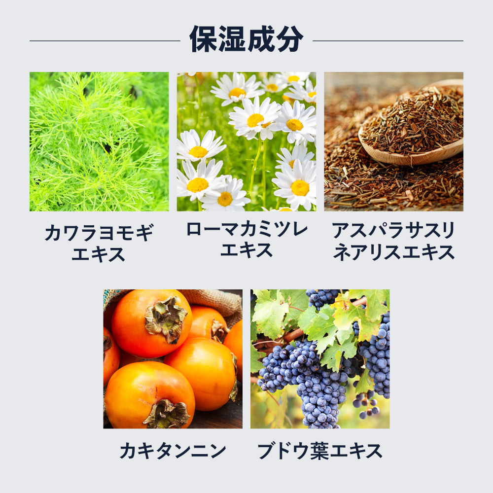 Dr.GINO 薬用シャンプー