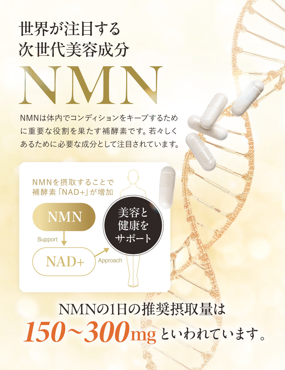 たっぷり贅沢 NMN 18000