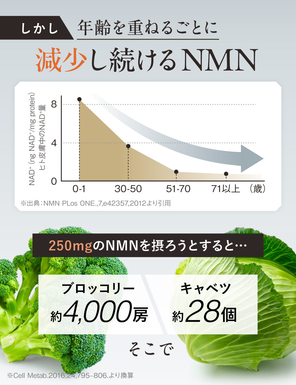 たっぷり贅沢 NMN 18000
