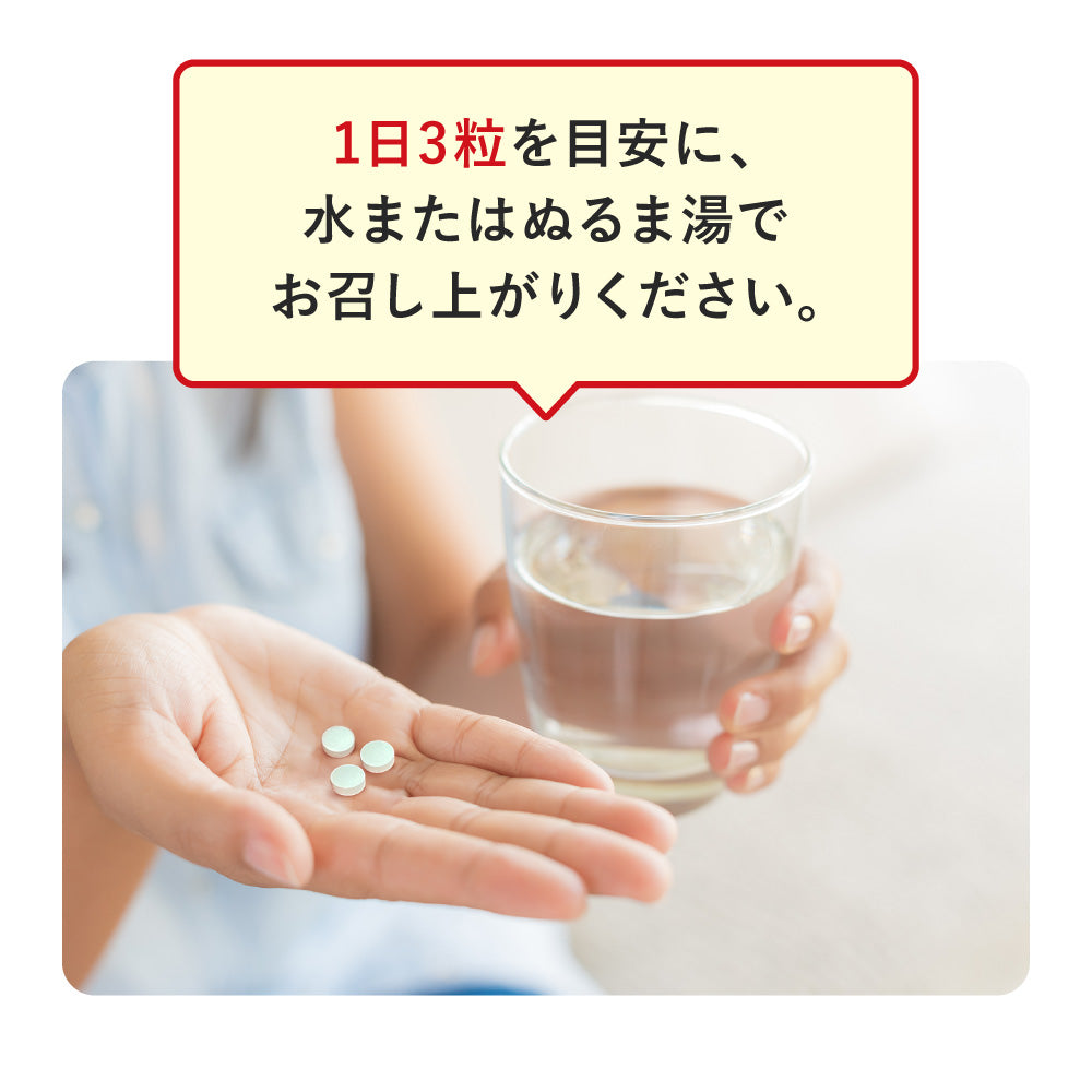快活 ひざ楽ティブ 9000