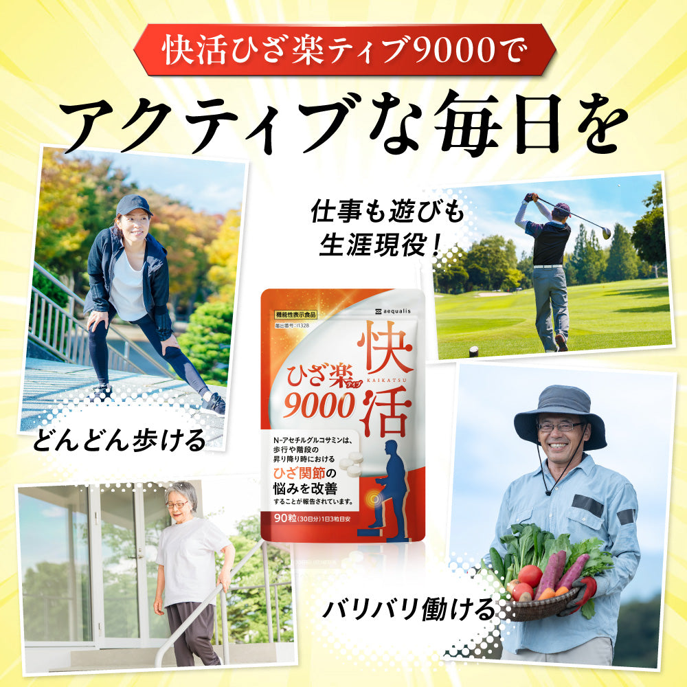 快活 ひざ楽ティブ 9000