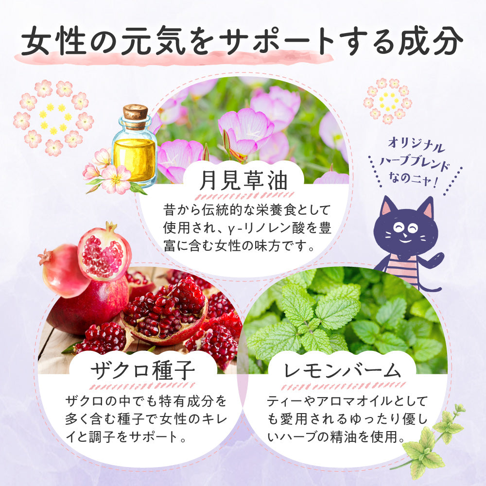 エルセーヌ サプリメント 内容必読！ ルミエル