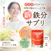 画像をギャラリービューアに読み込む, ルミエル 鉄 10mg
