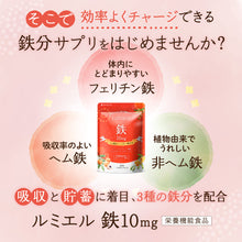 画像をギャラリービューアに読み込む, ルミエル 鉄 10mg
