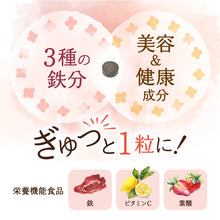 画像をギャラリービューアに読み込む, ルミエル 鉄 10mg
