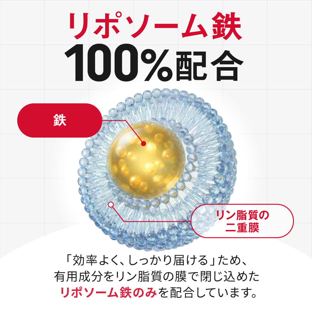 MINERAL BASE（ミネラルベース）鉄