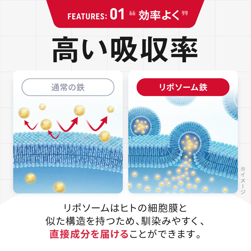 MINERAL BASE（ミネラルベース）鉄