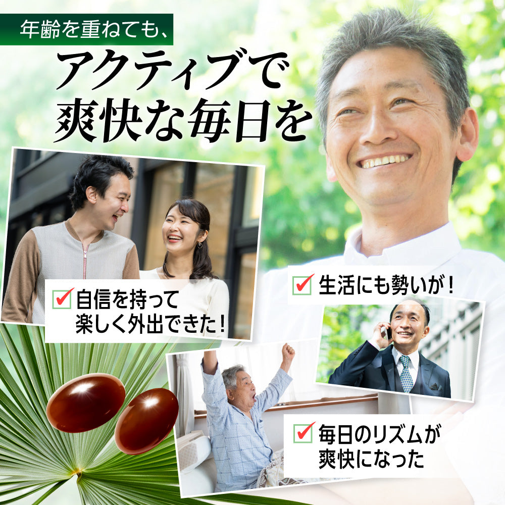 爽快ノコギリヤシ430 ユリナック