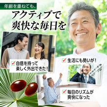 画像をギャラリービューアに読み込む, 爽快ノコギリヤシ430 ユリナック
